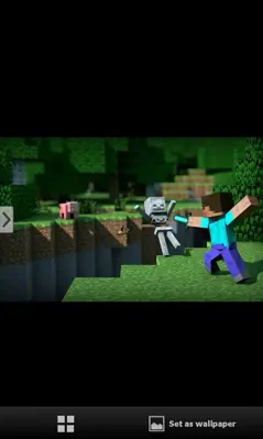 HD Minecraft Wallpaper android App screenshot 3